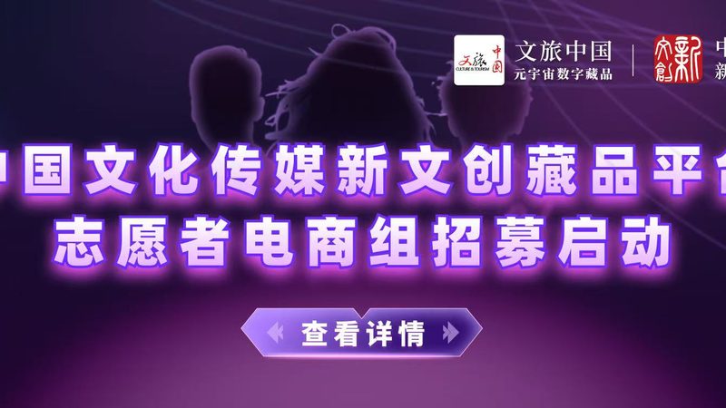成都传媒公司定制宣传方案：揭秘成功之道